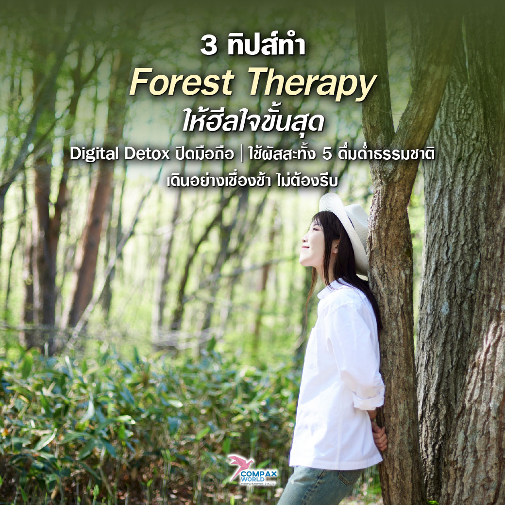 เที่ยวญี่ปุ่น ทัวร์ญี่ปุ่น ทัวร์ญี่ปุ่นพรีเมี่ยม โปรแกรมทัวร์ญี่ปุ่น